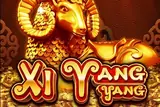Xi Yang Yang