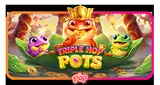 Triple Hop Pots