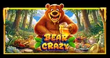 Bear Crazy