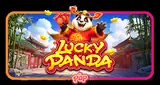 Lucky Panda