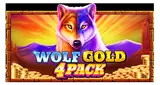 Wolf Gold 4 Pack