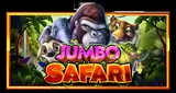 Jumbo Safari